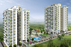 silicon hills and meadows